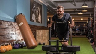 常德24万头能繁母猪办保险【火狐电竞官方网站】(图1) 火狐电竞官方网站