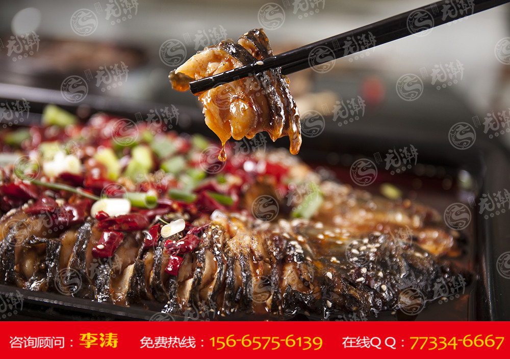 以林养鹅南乐县林下经济开发带来生机无限|火狐电竞官网(图2) 火狐电竞官方网站