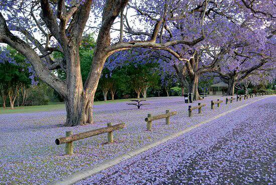 火狐电竞官方网站