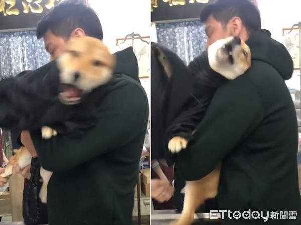 猪瘟免疫失败并非都是疫苗问题‘火狐电竞’(图1) 火狐电竞