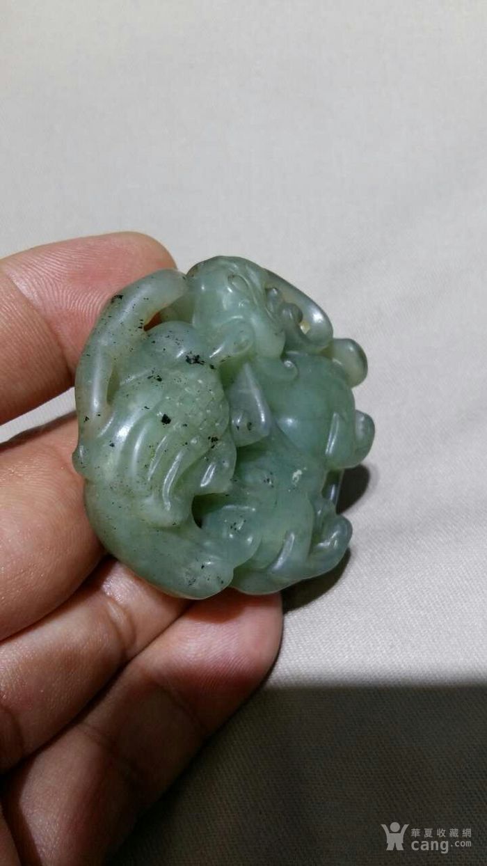 猪瘟免疫失败并非都是疫苗问题‘火狐电竞’(图3) 火狐电竞官网