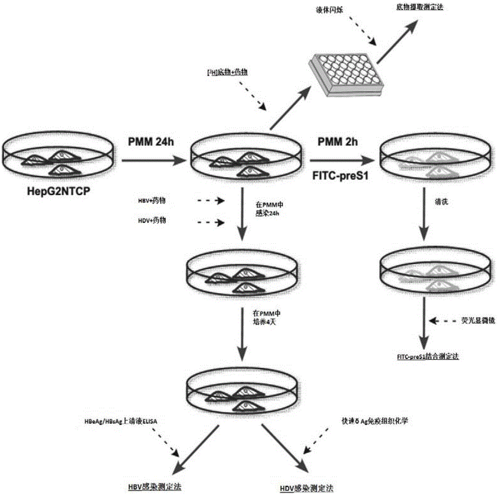 火狐电竞官网:《畜禽养殖污染草案》养猪网友评论(图1) 火狐电竞官方网站