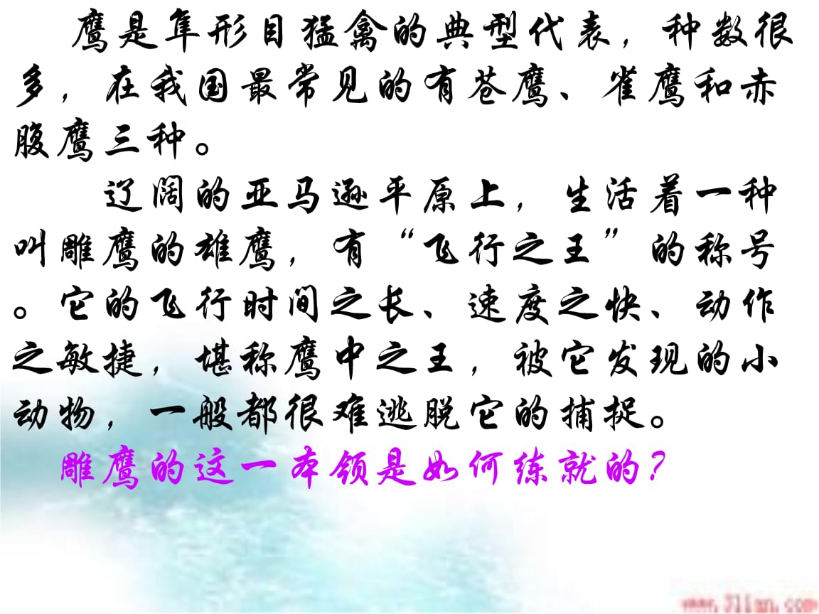 火狐电竞官方网站