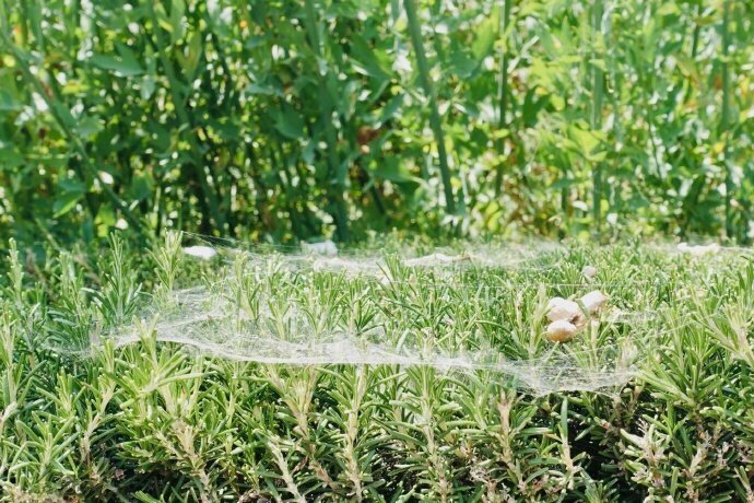 亚洲杯淘汰赛国足预计首发:武磊带伤出战冲击泰国防线‘火狐电竞’(图3) 火狐电竞官网