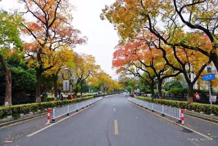 吃“死猪肉”不死人 卖“死猪肉”人不死|火狐电竞(图1) 火狐电竞官网