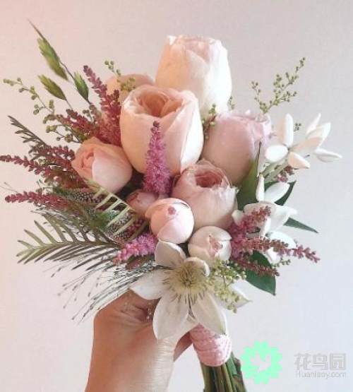 火狐电竞:江西拨7707万元采购禽流感等重大动物疫苗(图1) 火狐电竞