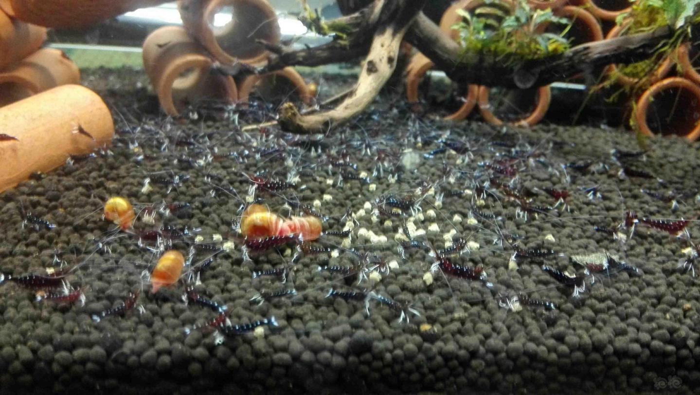 2019年男篮世界杯中国男篮国家队球衣壁纸【火狐电竞官方网站】(图1) 火狐电竞