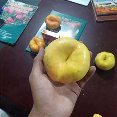 火狐电竞官方网站