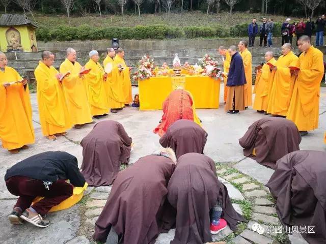 火狐电竞官方网站