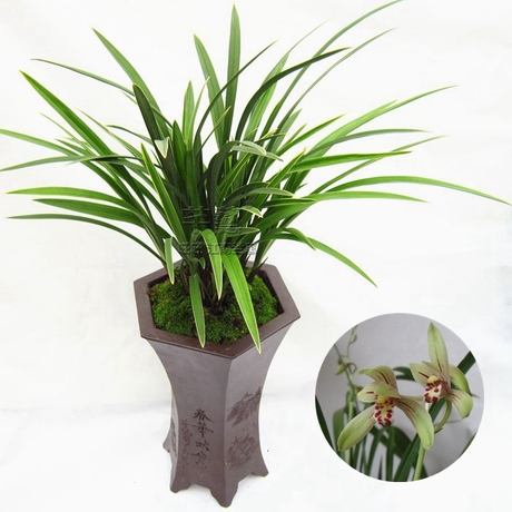 火狐电竞:俄罗斯称明年将大幅削减外国禽肉进口配额(图1) 火狐电竞官网