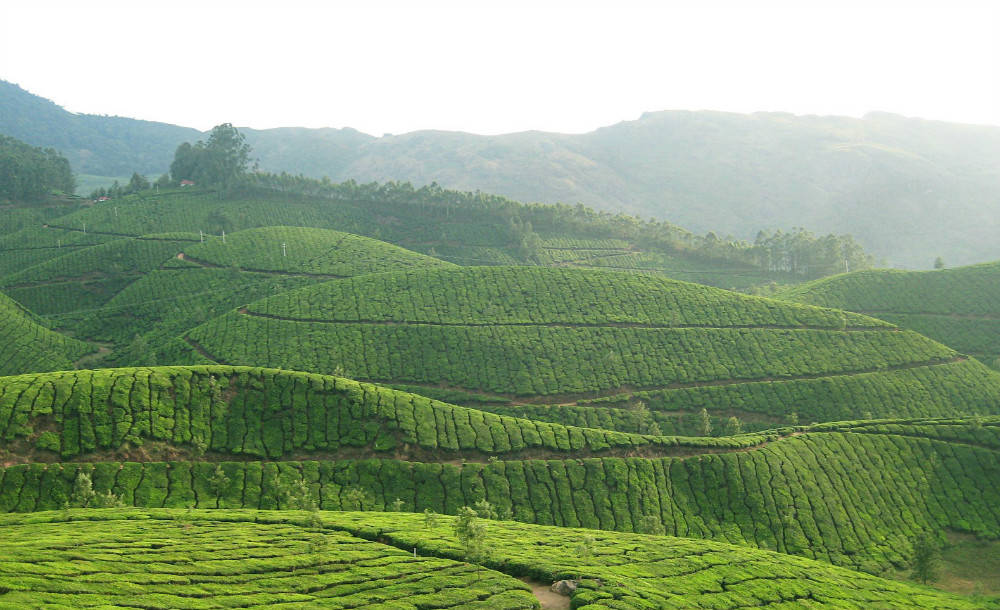 
初中造句息争释【火狐电竞官网】(图1)