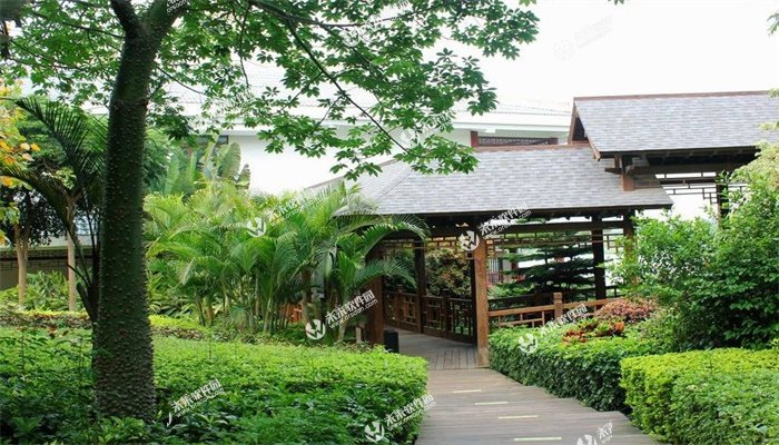 火狐电竞官网|
成都 —— 可连续生长“探路者”!(图10) 火狐电竞官方网站