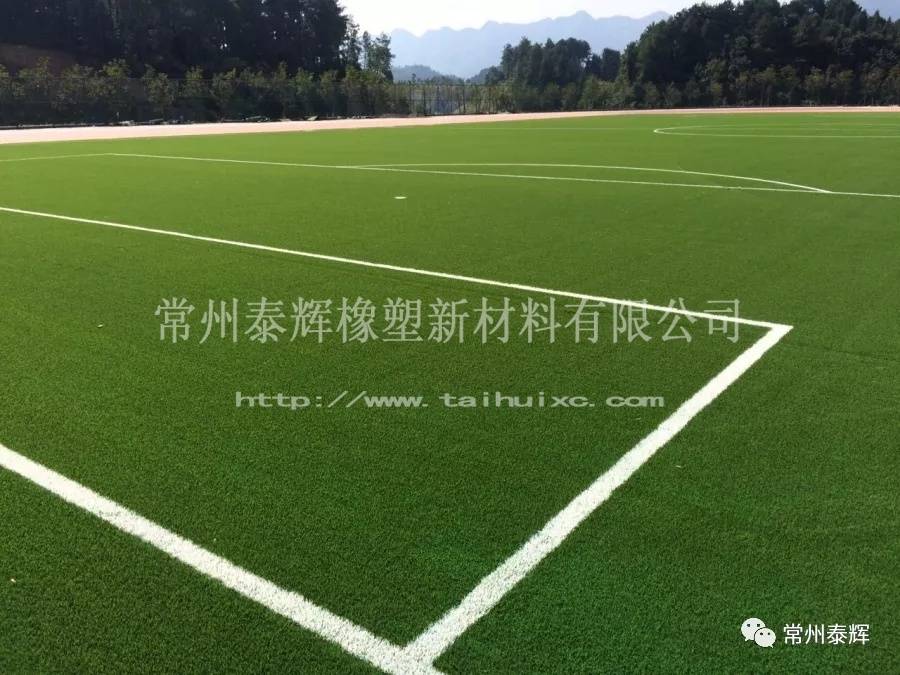 
世界最美足球场 在那里？_火狐电竞官方网站(图16)