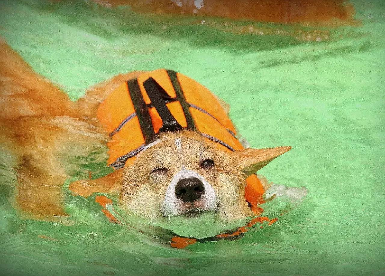 “火狐电竞”梦回18年世界杯总决赛,历史总是惊人相似,连4-2比分都一样(图1) 火狐电竞