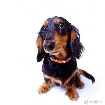 火狐电竞:韦迪赴三水为国奥打气 亚运不进前八孙卫将下课(图1) 火狐电竞官方网站