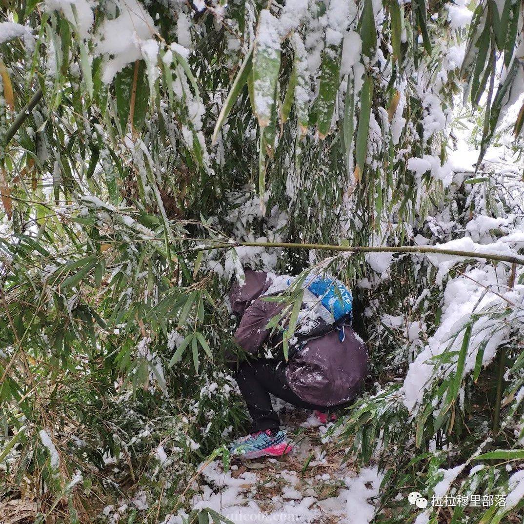 乾隆与御制西湖名胜图诗彩墨【火狐电竞官方网站】(图2) 火狐电竞