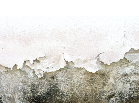 以“无我”把握“真我”【火狐电竞官方网站】(图3) 火狐电竞官网