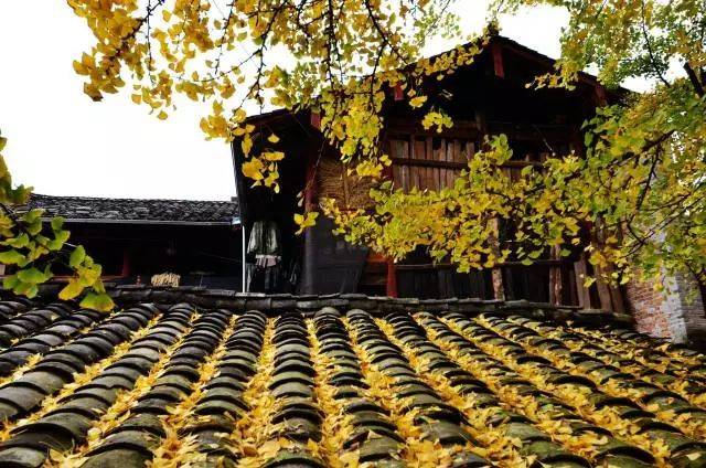 NBA历史10大肌肉男:个个体壮如牛,威猛无比【火狐电竞官方网站】(图4) 火狐电竞