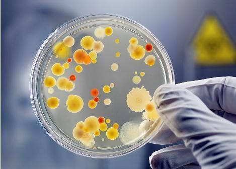 广东首现疑似H7N9禽流感病例_火狐电竞官网(图2) 火狐电竞官方网站