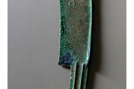 防治禽流感不要过度反应‘火狐电竞官网’(图2) 火狐电竞官方网站