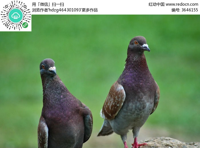 ‘火狐电竞’韩媒:韩国队不用担心淘汰赛 中国仅剩主场优势(图1) 火狐电竞官方网站