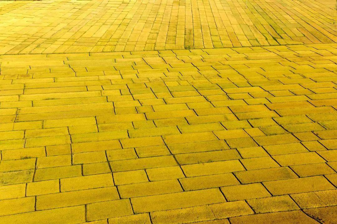 “火狐电竞官网”
黑龙江是个好地方(图8) “火狐电竞官网”
黑龙江是个好地方(图8)