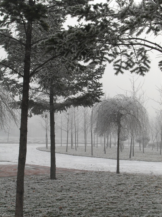 “火狐电竞官网”
黑龙江是个好地方(图11) 火狐电竞