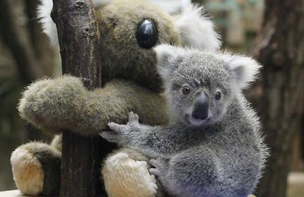 “火狐电竞官网”
黑龙江是个好地方(图14) 火狐电竞