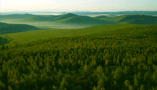 “火狐电竞官网”
黑龙江是个好地方(图15) “火狐电竞官网”
黑龙江是个好地方(图15)