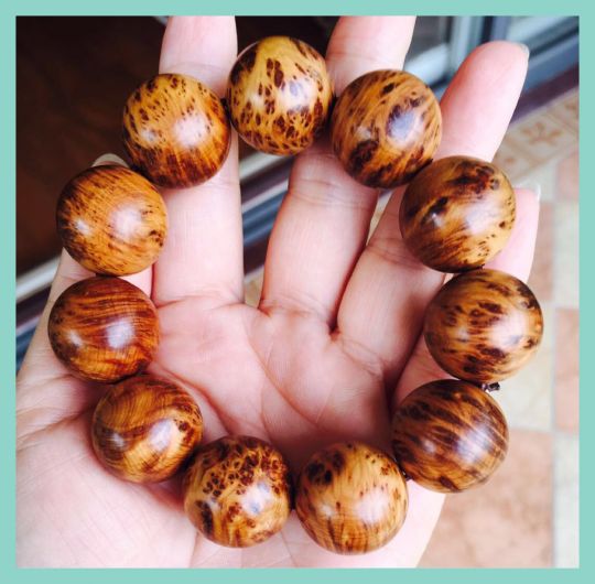 【火狐电竞官网】女足亚少赛-头球击败玫瑰日本女足3-0中国女足(图2) 火狐电竞官方网站