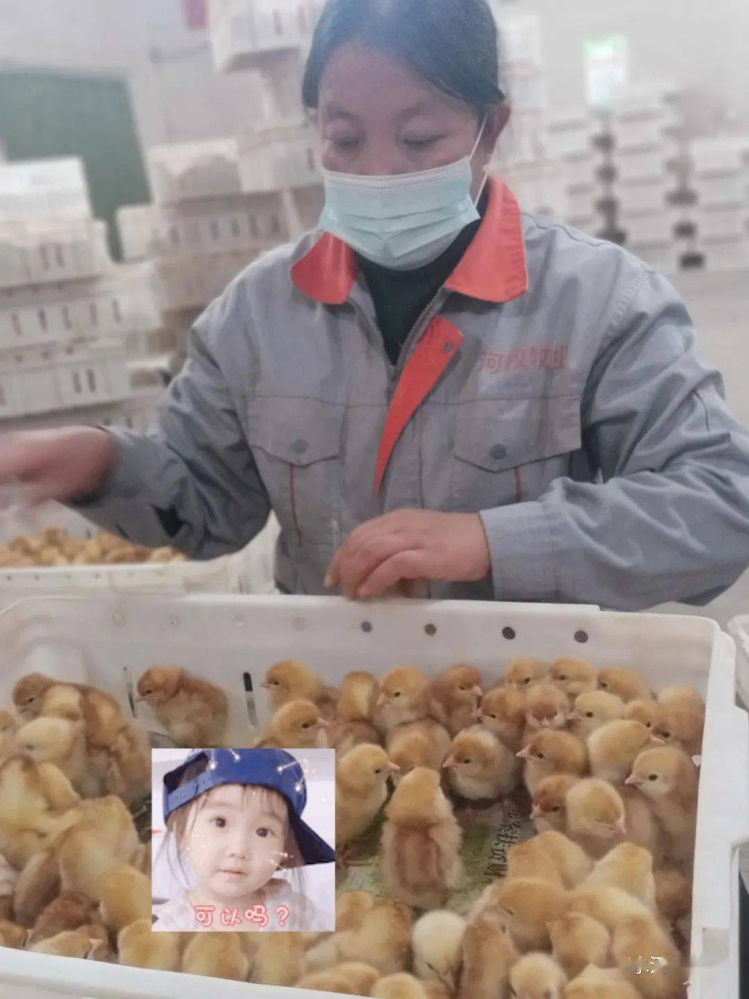 火狐电竞官网-
河牧牧业祝愿您——元旦元旦之一切圆满(图9)