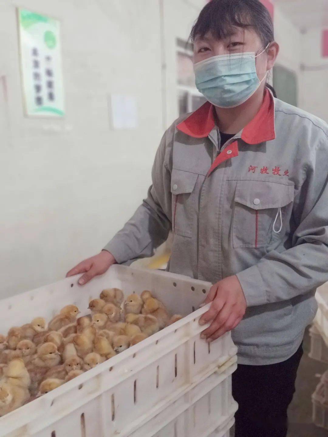 火狐电竞官网-
河牧牧业祝愿您——元旦元旦之一切圆满(图11)