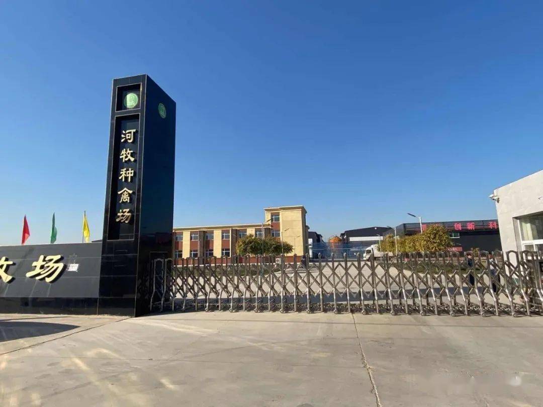 火狐电竞官网-
河牧牧业祝愿您——元旦元旦之一切圆满(图17)