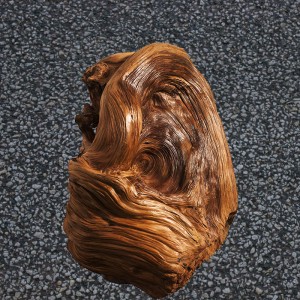 ‘火狐电竞官网’
愿成为中国男篮教练 同时不排挤做助教 马布里的亮相令球迷点赞(图4) 火狐电竞官方网站