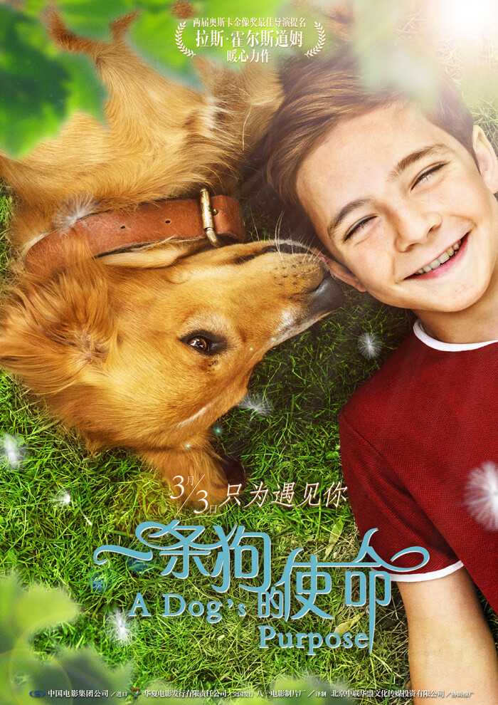 火狐电竞官方网站