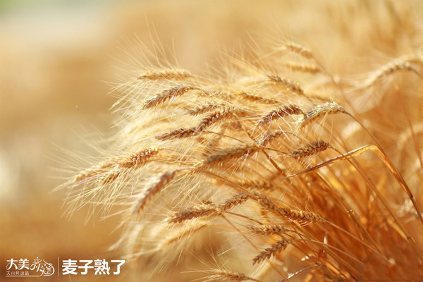 火狐电竞官方网站