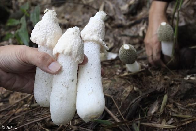 【火狐电竞】
中汽中心回应官方网站无法会见 称系操作原因导致(图2) 火狐电竞官网