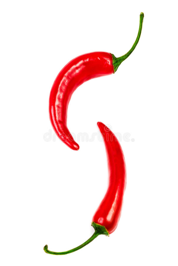 火狐电竞官网-淘汰猪、病死猪肉对生猪市场的影响(图2) 火狐电竞