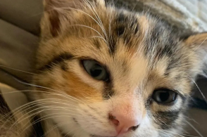 男士束脚裤怎么搭配潮鞋?四组搭配案例供你参考|火狐电竞官网(图2) 火狐电竞