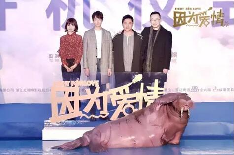 190头生猪藏身中心城区政府18万元买生猪|火狐电竞(图4) 火狐电竞