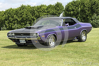 河南供港活畜14年来未出现疫情【火狐电竞官网】(图2) 火狐电竞