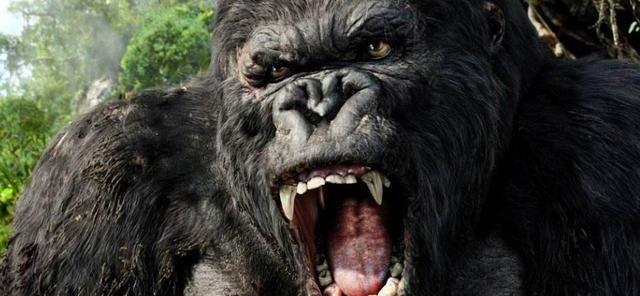 农业农村部:打着环保等名义搞“无猪县”“无猪乡”的,必须彻底整改!“火狐电竞官方网站”(图2) 火狐电竞