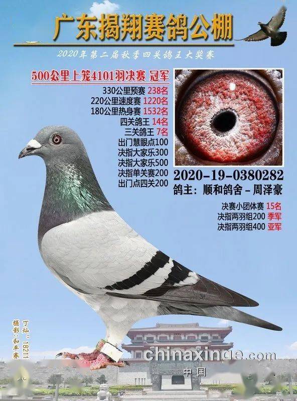 火狐电竞官网_
正在直播：广东揭翔获奖鸽同步拍卖(图5)