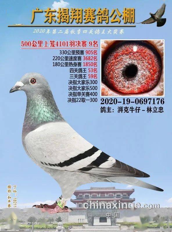 火狐电竞官网_
正在直播：广东揭翔获奖鸽同步拍卖(图15)