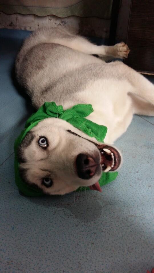 蒙牛CEO预测下半年原奶供需平衡,赞现代牧业谋划最稳定-火狐电竞官方网站(图1) 火狐电竞