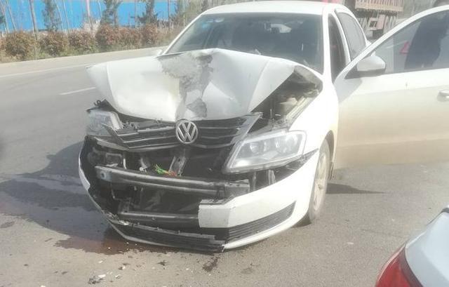 火狐电竞官网-欧盟转基因作物申请将取消(图2) 火狐电竞