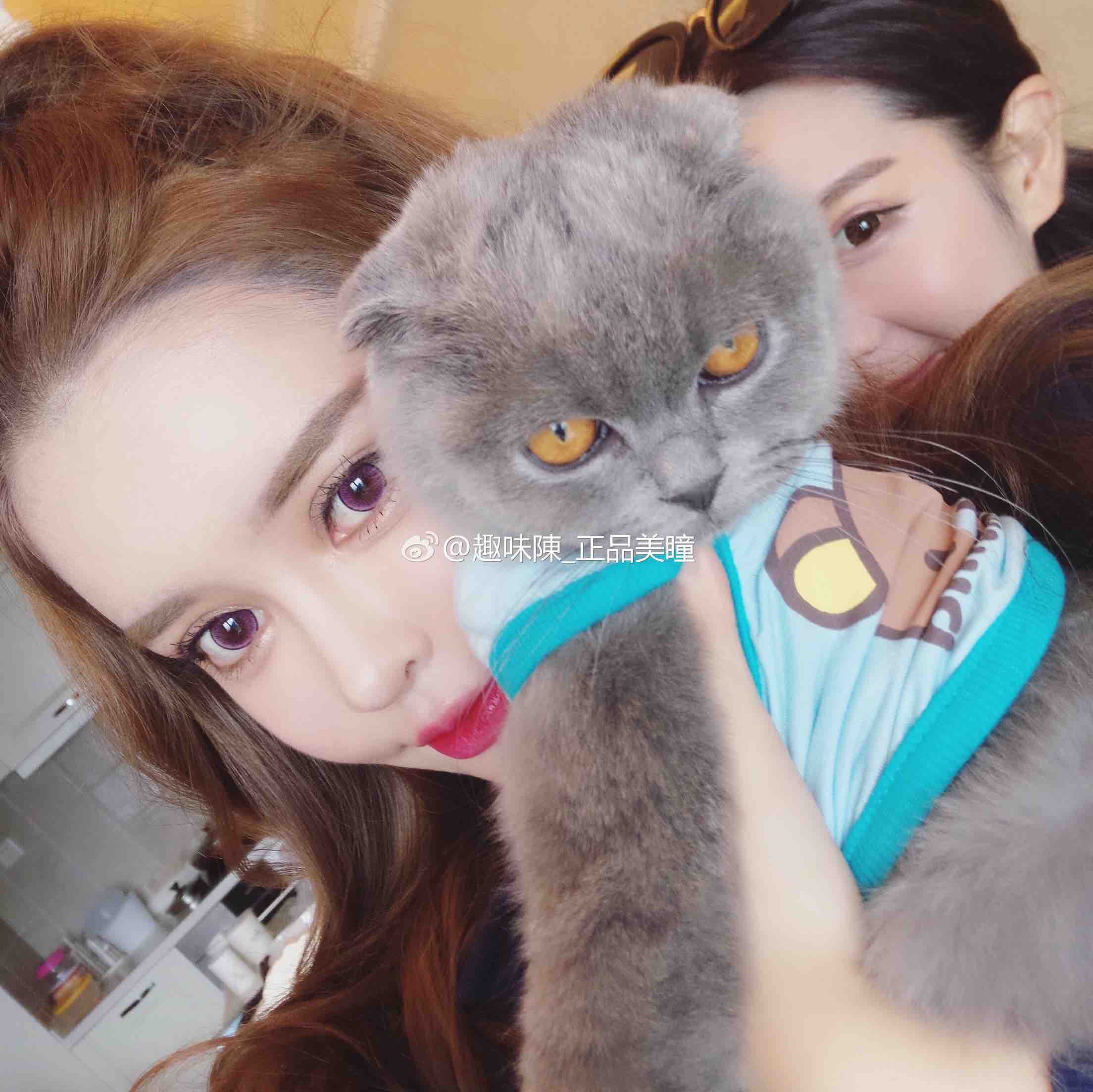 火狐电竞官方网站