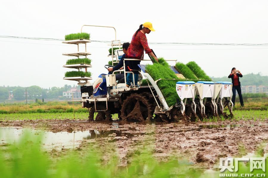 火狐电竞官方网站