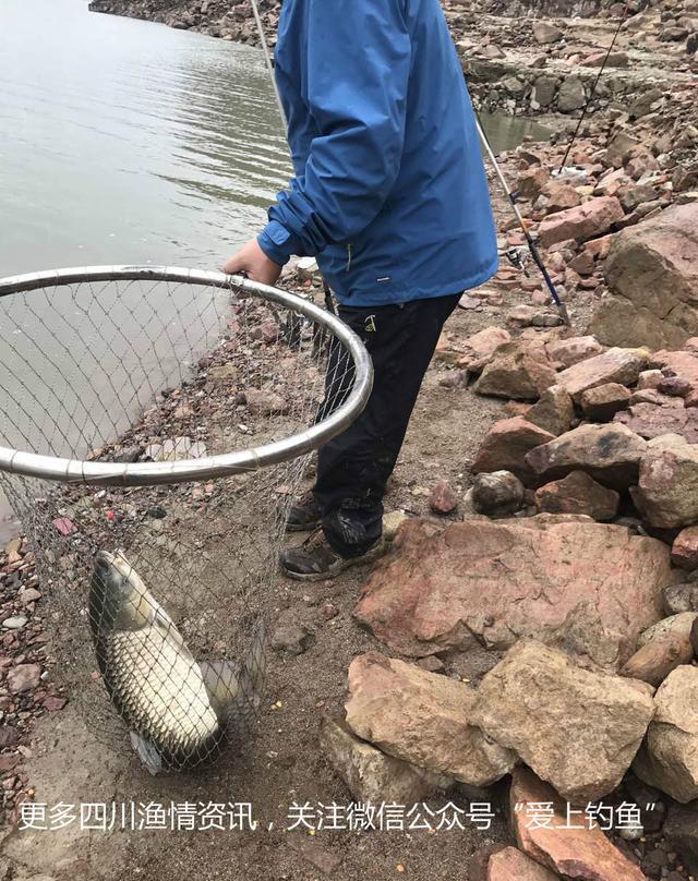 火狐电竞官方网站