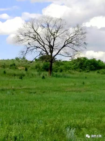 火狐电竞官方网站